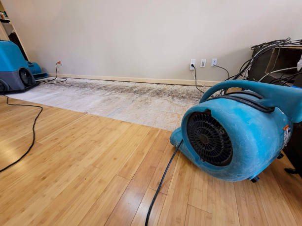 Professional Basement Flood Cleanup technician working in Cripple Creek, CO